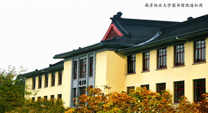 南京林业大学图书馆改造加固